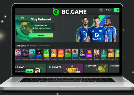 Unveiling Bc.Game A New Era in Online Gaming