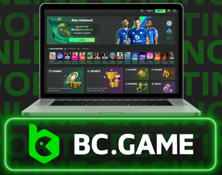 Welcome to Bc.Game Official A New Era in Online Gaming